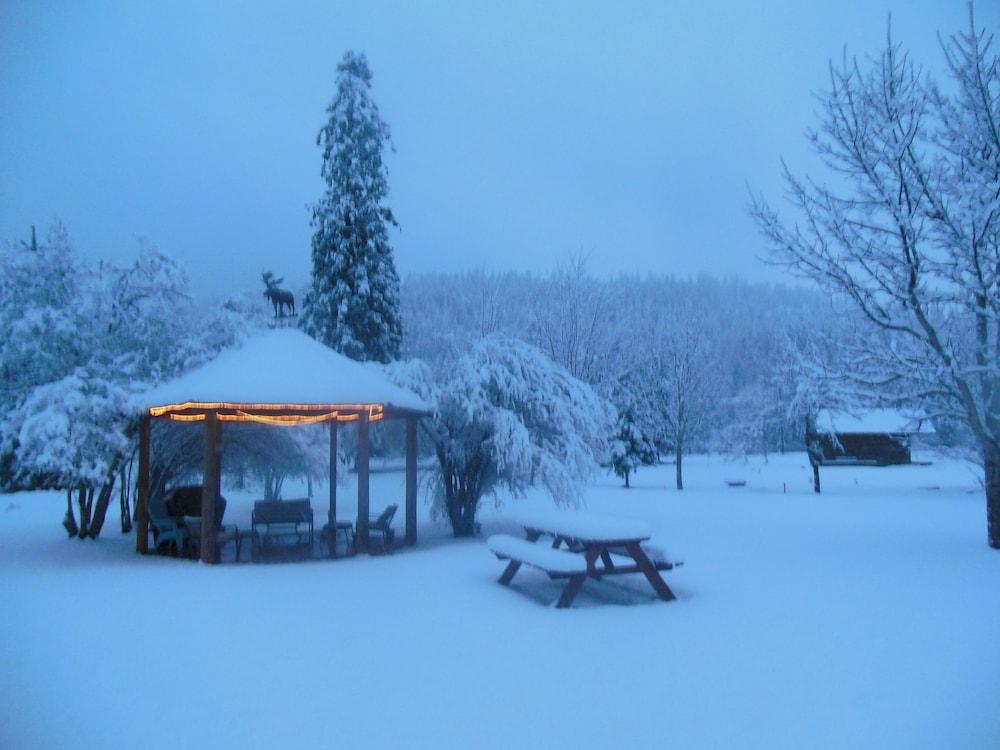 Clark Fork Lodge Εξωτερικό φωτογραφία