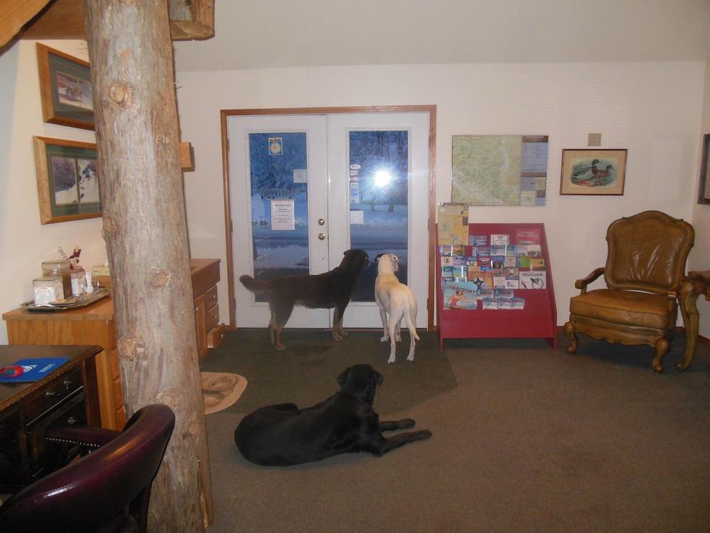 Clark Fork Lodge Εξωτερικό φωτογραφία